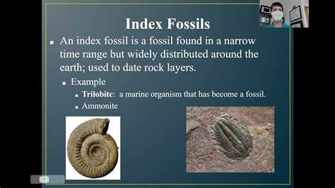 what is an important characteristic of an index fossil